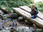 loica_154