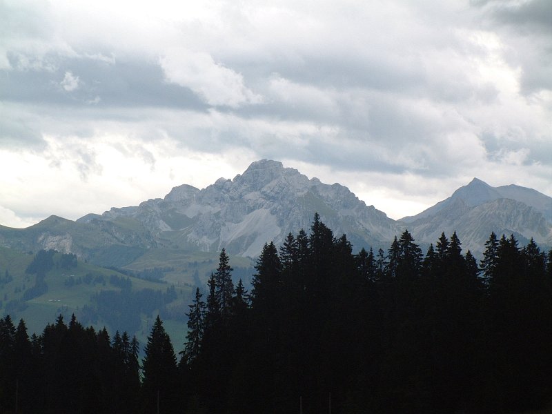 DSCF1067.JPG