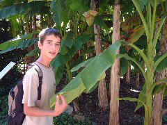 DSCF0084