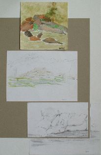 DSCF0877
