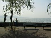 fiona_229