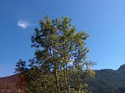 antoine_012