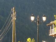 fiona_081