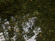 fiona_267