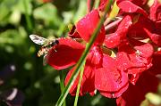 julien_093