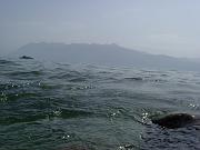 lea_119