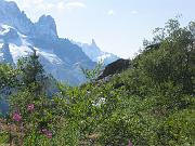 delphine_078