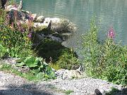 delphine_086