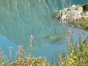 fiona_147