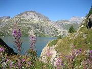 mathieu_068