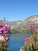 maxime_074