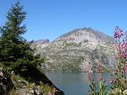 maxime_078