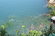 nadege_090