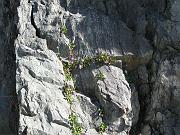 thomas_058