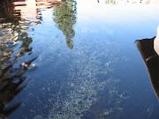 bastien_072