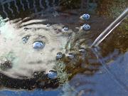 fiona_064