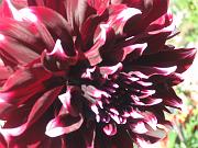 justine_045