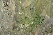 nadege_034