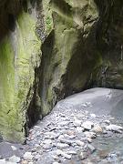 fiona_174