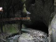 minela_167