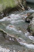 nadege_160