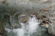 nadege_175