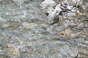 nadege_177