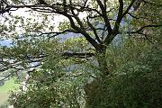 simon_141