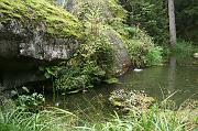 julien_316