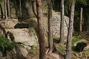 julien_401
