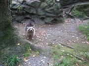 mathieu_152