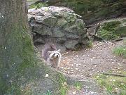 maxime_141