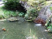 minela_282