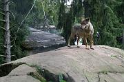 nadege_307