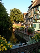 Roland_091