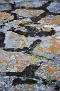 Roland_068_r1