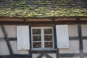 Roland_251