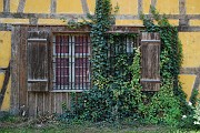 Roland_313