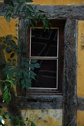 Roland_315