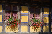 Roland_334