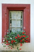 Roland_348