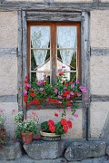 Roland_369