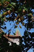 Roland_274