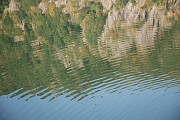 Roland_023