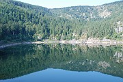 Roland_052