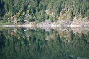 Roland_055