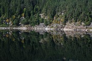 Roland_057