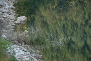 christine_081