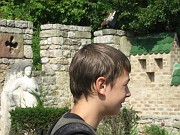 lucille_219