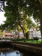 aude_s_226